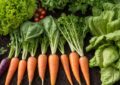 Gemüsegarten anlegen: Die besten Sorten für Anfänger